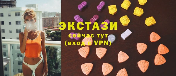 стаф Корсаков