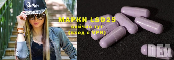 ГАЛЛЮЦИНОГЕННЫЕ ГРИБЫ Козловка
