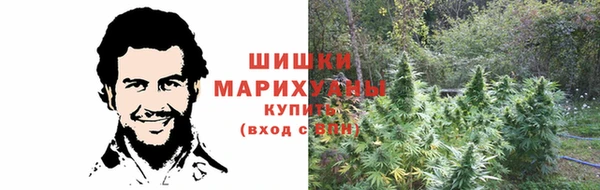 стаф Корсаков