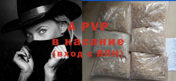 стаф Корсаков