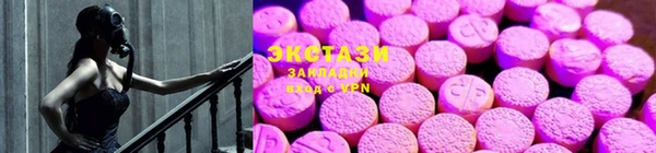 ГАЛЛЮЦИНОГЕННЫЕ ГРИБЫ Козловка