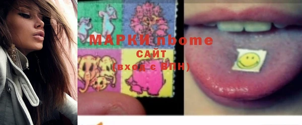 ГАЛЛЮЦИНОГЕННЫЕ ГРИБЫ Козловка