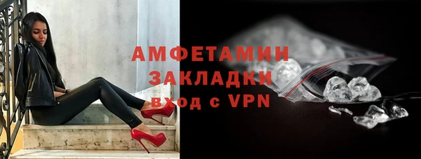 стаф Корсаков