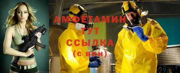 стаф Корсаков