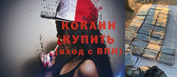стаф Корсаков