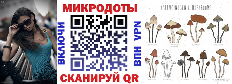 Галлюциногенные грибы Psilocybe  Купить закладки  Гагарин 